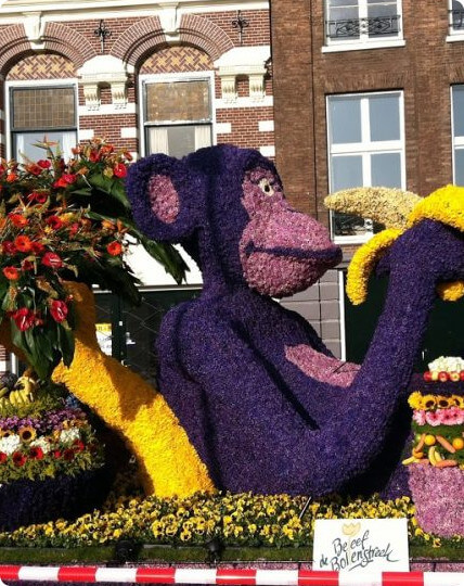 Фото Парад цветов в Голландии 2019