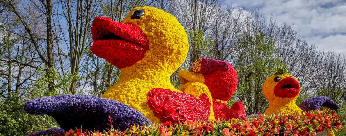 Парад цветов  в Голландии 2019 - фото1